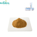 Ekstrak kastanye kuda kemurnian Aescin horse chestnut powder