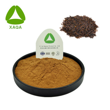 Asiatic Plantain Herb Extract Powder 10:1