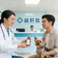 Supplements for canine fatty liver disease