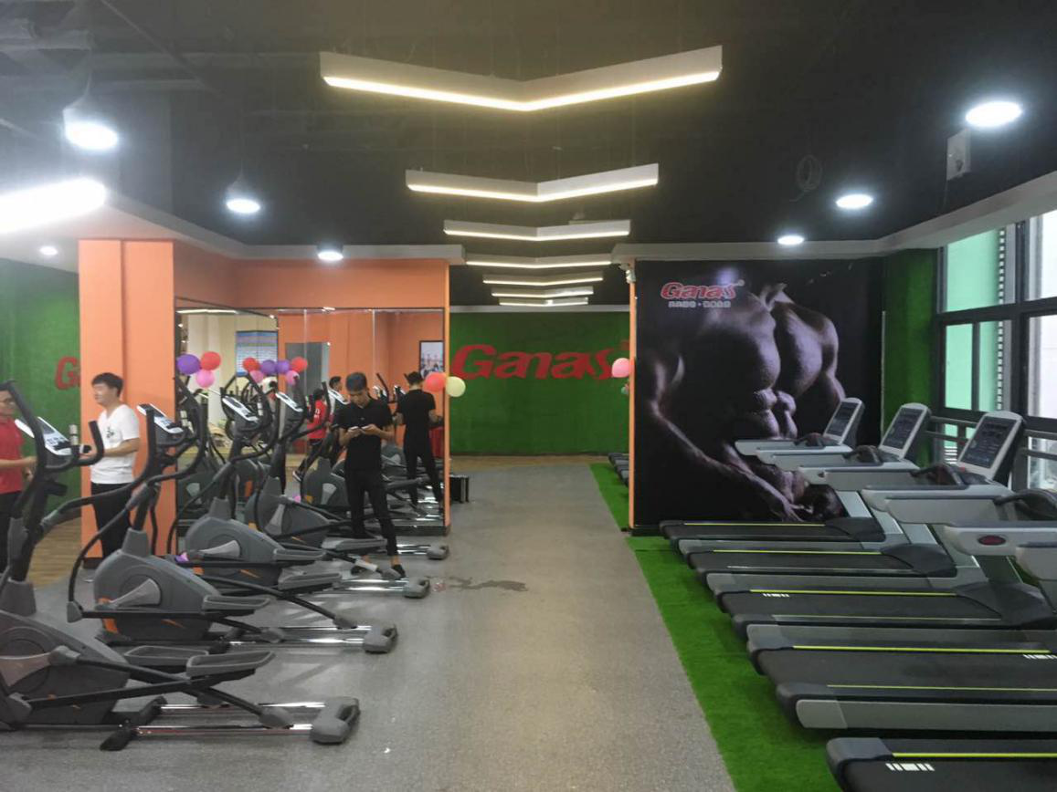 gym equipment supplier