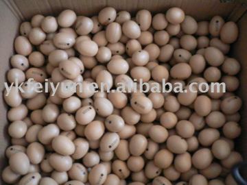PU EGG BALL