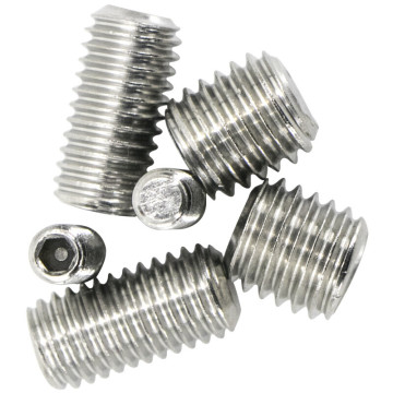 Hot Sale M4x20mm Hexagon Socket Set Screws in Stainless Steel 304: DIN Cartons + Plastic Bags Packaging - Metric Size