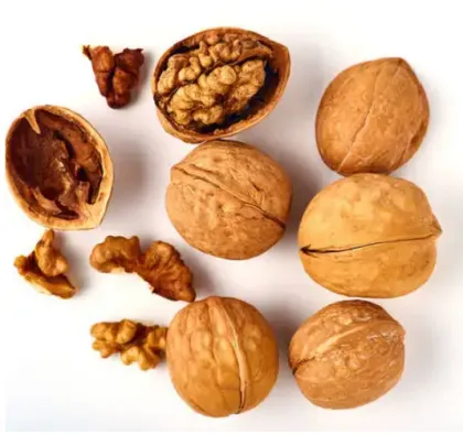 Wholesale Large Low Price Raw Walnuts and Organic Walnut Kernels from Xinjiang