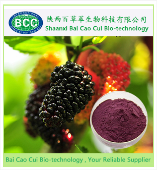 Mulberry Fruit Extract