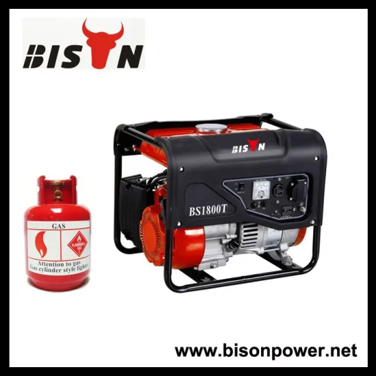 BISON(CHINA) Space Save Long Run Time Small Natural Gas Generator