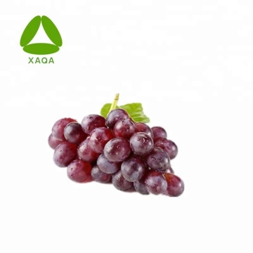 Natural Antioxidant Grape Seed Extract Proanthocyanidins 95%