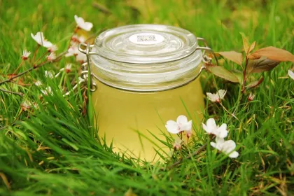 rape seed honey in bulk