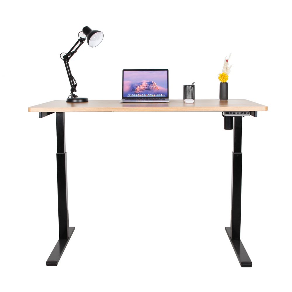 Hot Sell Single Motor Desk