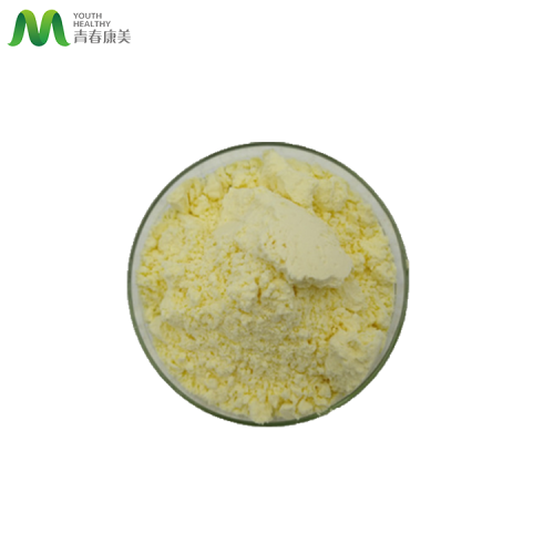 China Ginger Root Extract Powder with Kosher Halal Certificates Factory