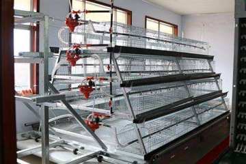 High quality breeding layer chicken cages