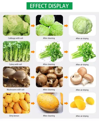 Joyshine OEM ODM Vegetable Washing Machine Air Drying Cleaning Line