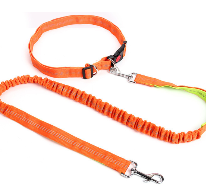 Large Dog Running Leash