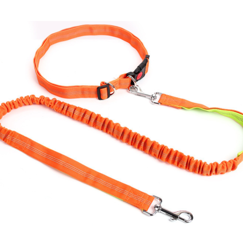 Multicolor Nylon einstellbare Hände freie Hunde-Bungee-Leads