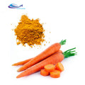 Natural Beta Carotene Powder Beta Carotene