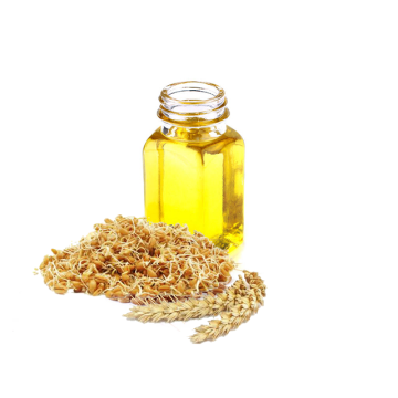 factory supply  natural wheat germ oil in bulk