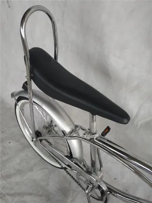 20 Inch Springer Fork Lowrider Bicycle Beach Cruiser