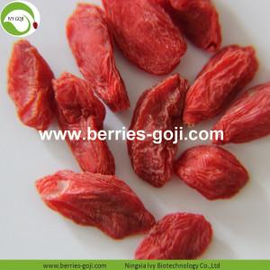 Distributore dolce naturale di nutrizione Bacca di Goji comune