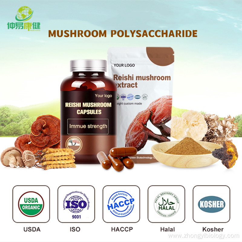 Chaga Mushroom Extract Powder 50%Polysaccharide