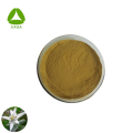 Antioxidante natural adormecido Edelweiss Extract Powder 10: 1