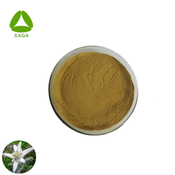 Natural Antioxidant Sleeping Edelweiss Extract Powder 10:1