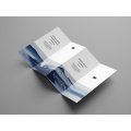 Folheto Quad Fold Premium para promoção de negócios