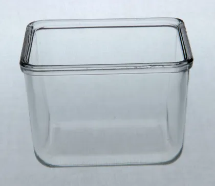 Pyrex Preserving Box