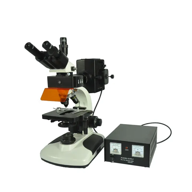 Fluorescent Microscope with CCD and Camera for Living Cell Culture and Medical Research Wn-FM107