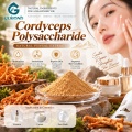 Cordyceps Polysaccharide 20%–60% Extracto en polvo para formulaciones cosméticas y alimentarias