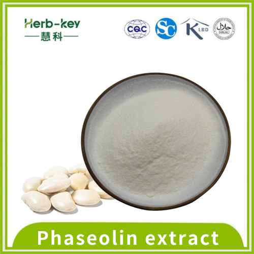 White powder 1% phaseolin