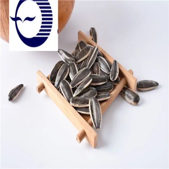 Sunflower In Shell White Sunflower Seeds Bird Seeds