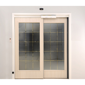 Interior Automatic Sliding Doors for Household Accesses