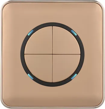 4 Gang 1 Way Wall Light Switch Socket
