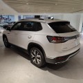 Volkswagen Tayron 2023 300TSI Luxury Plus Advanced Edition