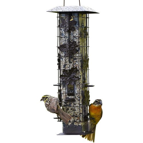 Hanging Bird Feeder Squirrel Proof