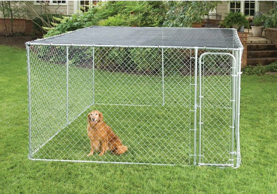 dog cage