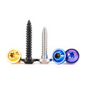 High Strength Titanium Self Tapping Screw for Industry