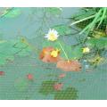 Green Vineyard Bird Net pvc plastic outdoor pond netting Manufactory