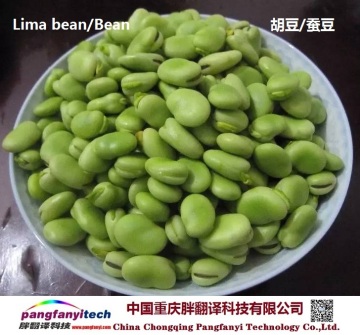 Natural Nutritional Tasty Self-planted Dried Lima Bean