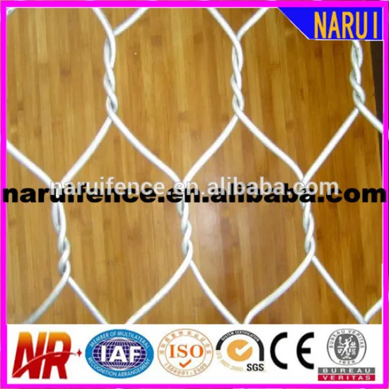 Anping Hexagonal Mesh/Hexagonal Wire Netting/Chicken Wire Mesh (Factory)