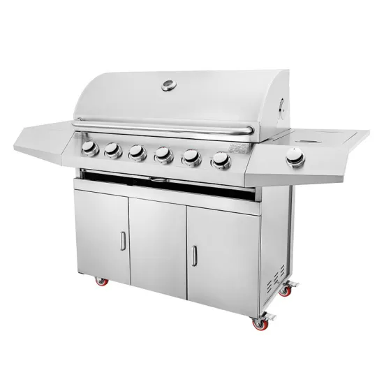 Full Stainless Garden BBQ Gas Grill