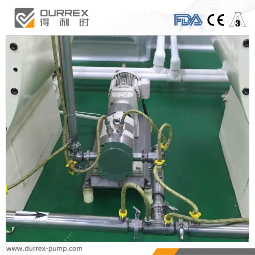 Fermented soy curd transfer lobe pump