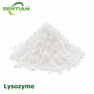 Lysozyme Enzyme for Natural Antibacterial Preservation