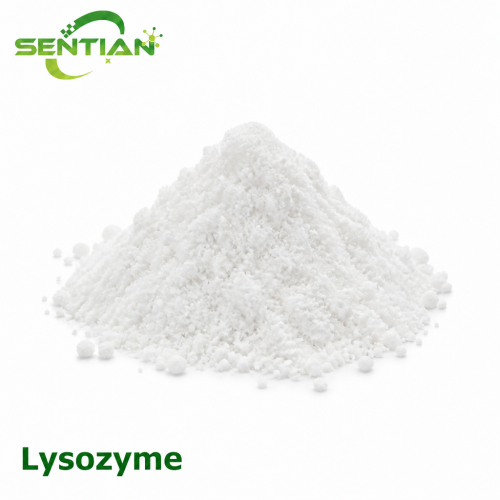 Lysozyme Enzyme for Natural Antibacterial Preservation