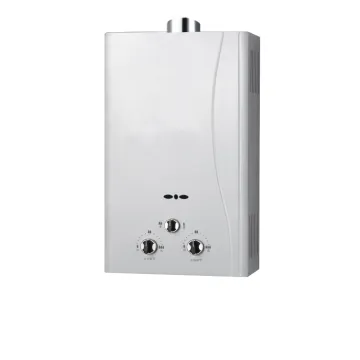 Guangdong Factory Gas Water Heater Duct Exhaust Type