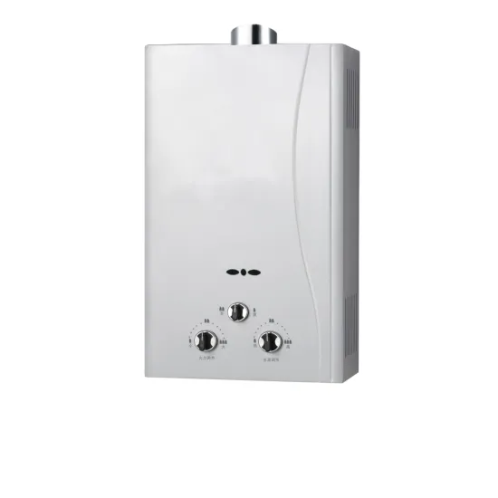 Guangdong Factory Gas Water Heater Duct Exhaust Type