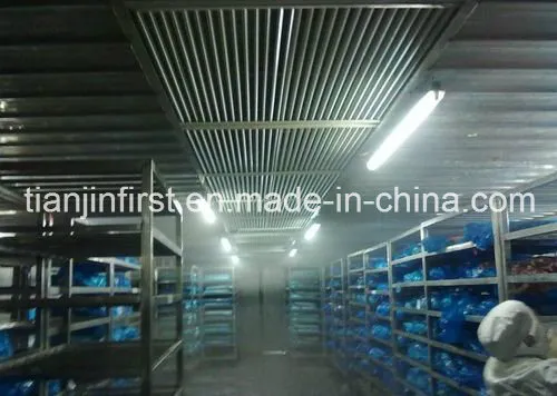 Low Temperature High Humidity Air Thawing Equipment for Meat