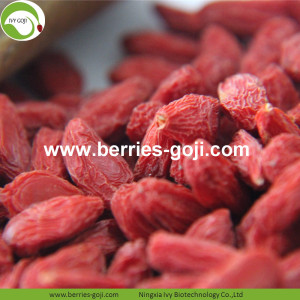 Afvallen Gedroogde natuurlijke gezonde Tibet Goji-bessen