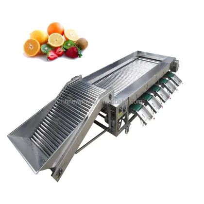 Vegetable & Fruit Sorting and Grading Machine