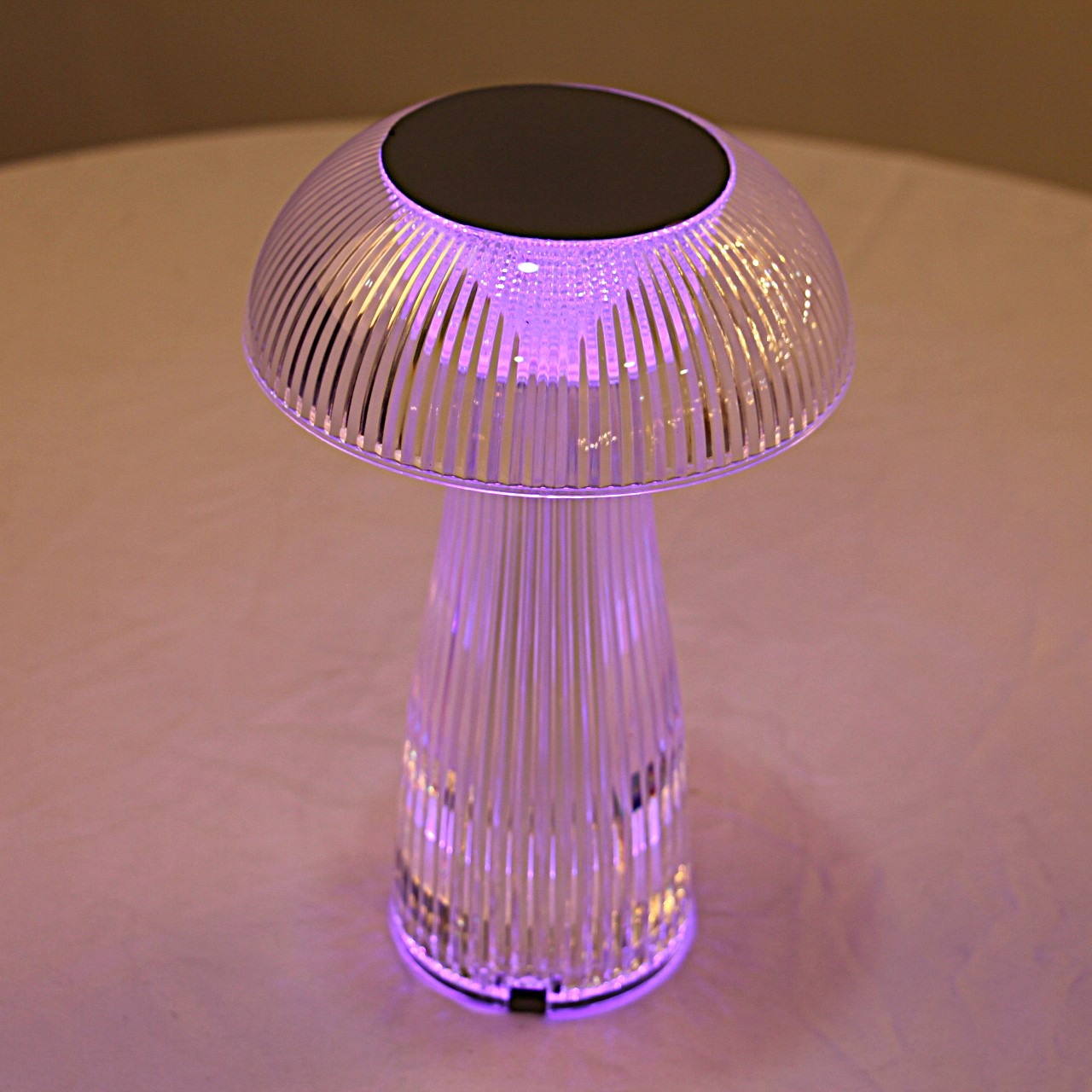 mushroom_2895