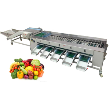 TCA High Quality Fruit and Vegetable Classification Machine - Potato Sorting Machine